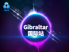 Gibraltar数币国际站沉淀出真知